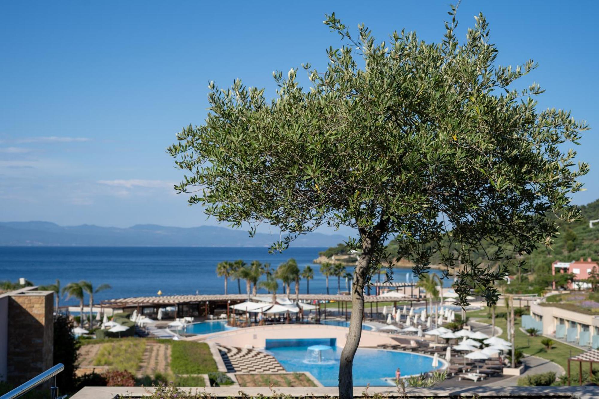 Miraggio Thermal Spa Resort Paliouri Luaran gambar View of the bay of Nikiti